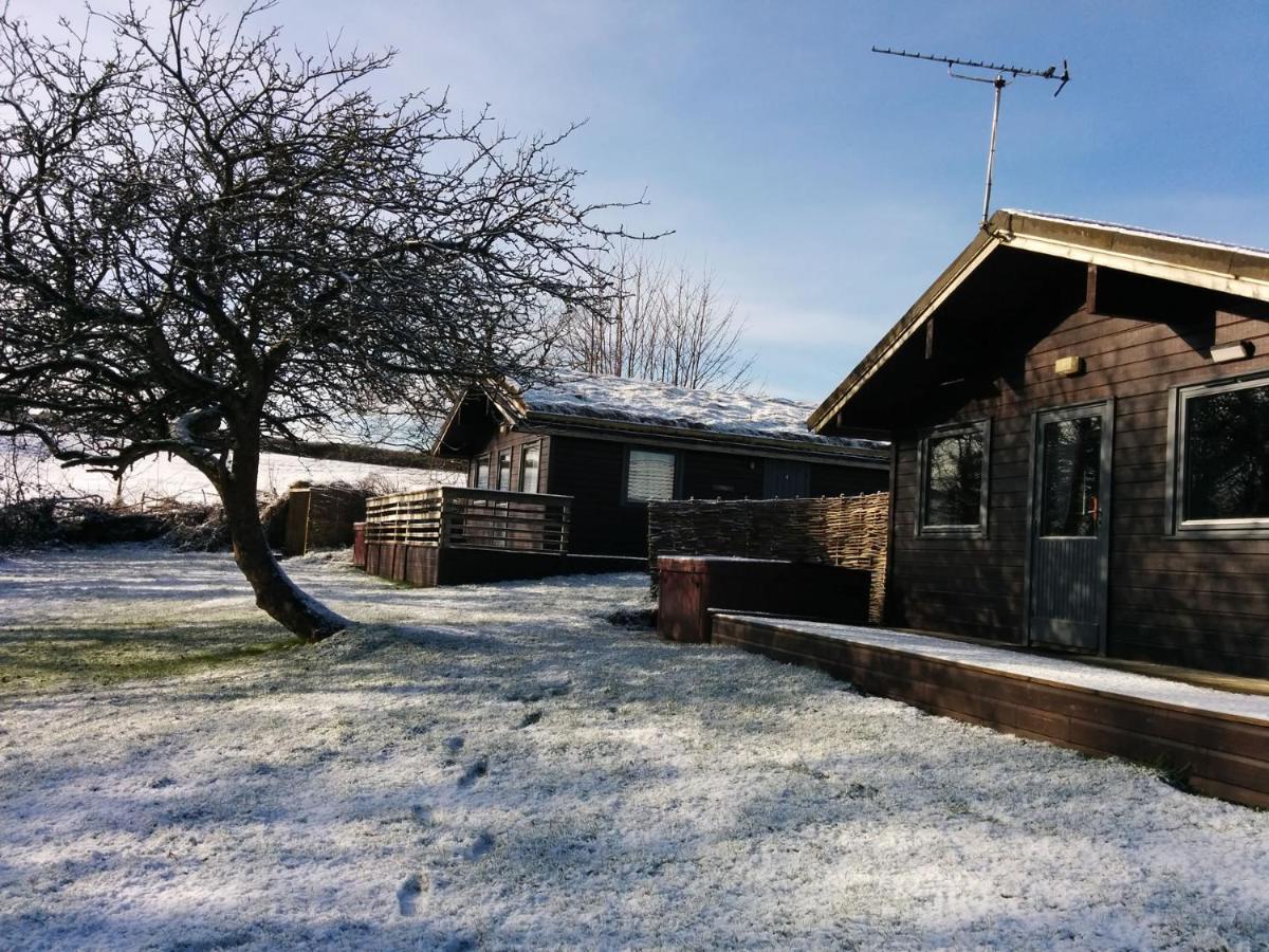 Avallon Lodges Лонсестон Экстерьер фото